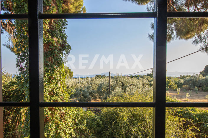 Image No.21-3 Bed House for sale