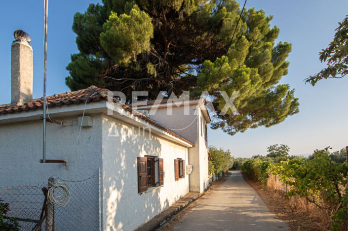 Image No.24-3 Bed House for sale