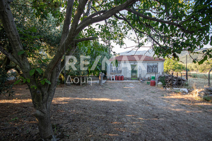 Image No.25-3 Bed House for sale