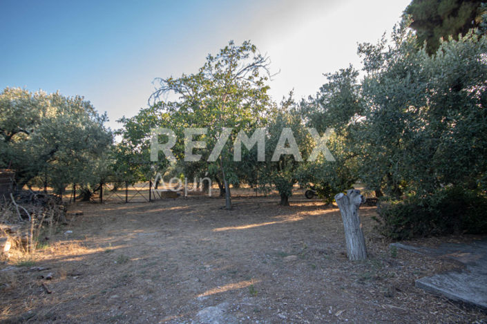 Image No.27-3 Bed House for sale