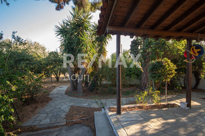 Image No.28-3 Bed House for sale