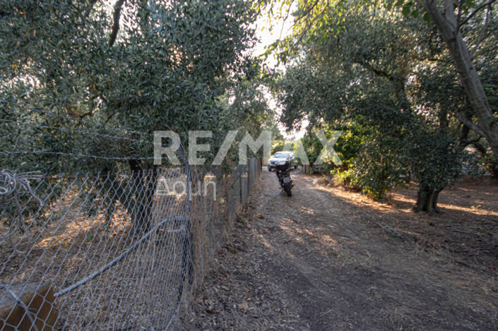 Image No.29-3 Bed House for sale