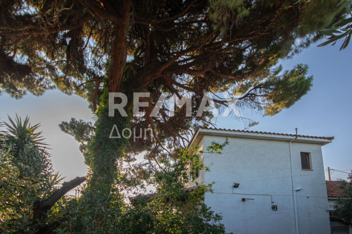 Image No.38-3 Bed House for sale