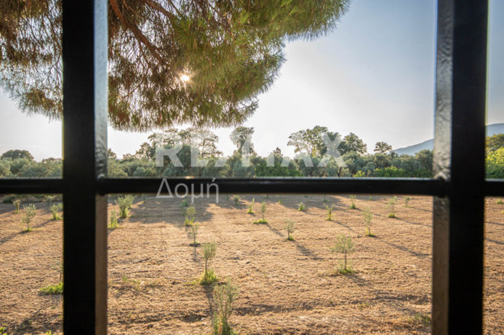 Image No.43-3 Bed House for sale