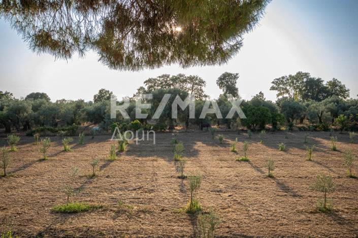 Image No.44-3 Bed House for sale