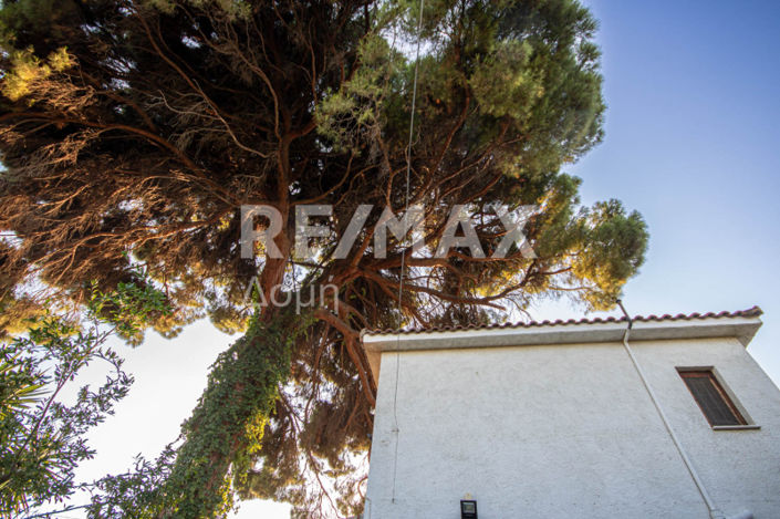 Image No.45-3 Bed House for sale