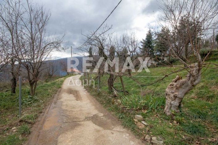 Image No.17-House for sale