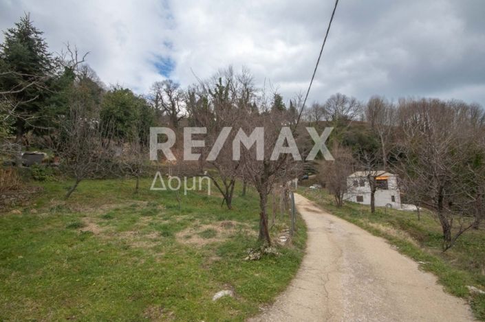 Image No.18-House for sale