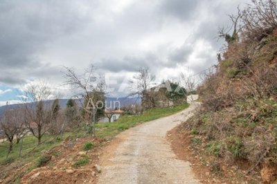 4-99138518