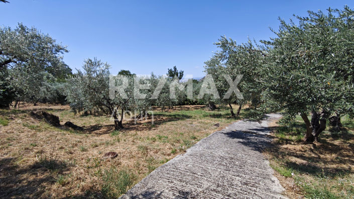 Image No.12-1 Bed House for sale