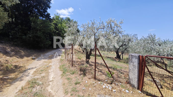 Image No.14-1 Bed House for sale