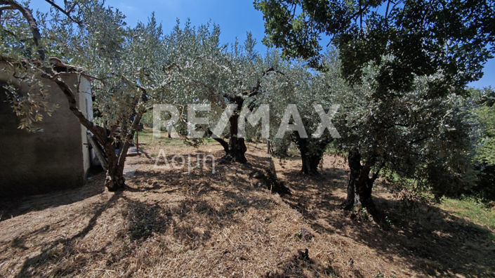 Image No.15-1 Bed House for sale