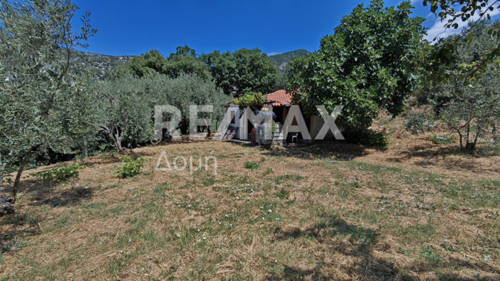 Image No.16-1 Bed House for sale