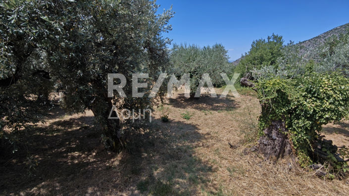 Image No.17-1 Bed House for sale