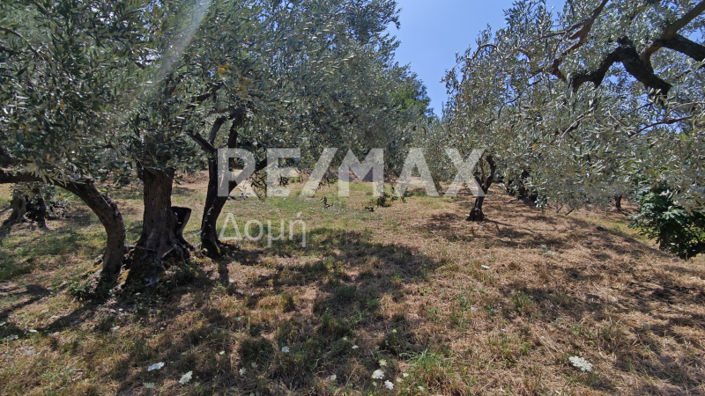 Image No.18-1 Bed House for sale