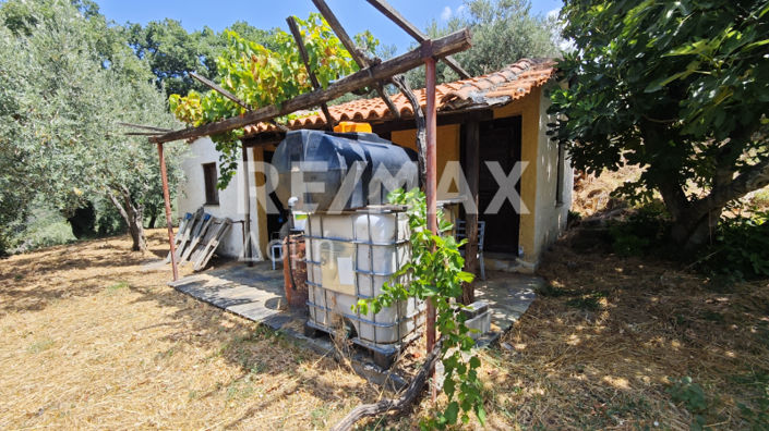 Image No.19-1 Bed House for sale