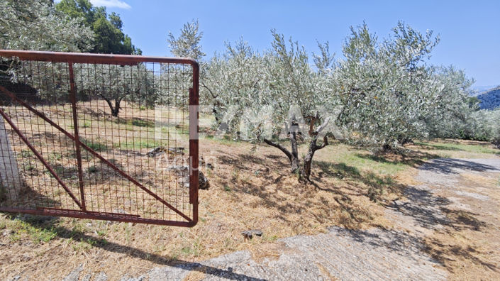 Image No.3-1 Bed House for sale