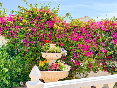 Image No.7-Villa / Détaché de 4 chambres à vendre à Punta Prima