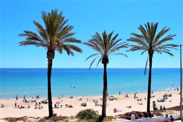 Image No.8-Appartement de 3 chambres à vendre à Playa Flamenca