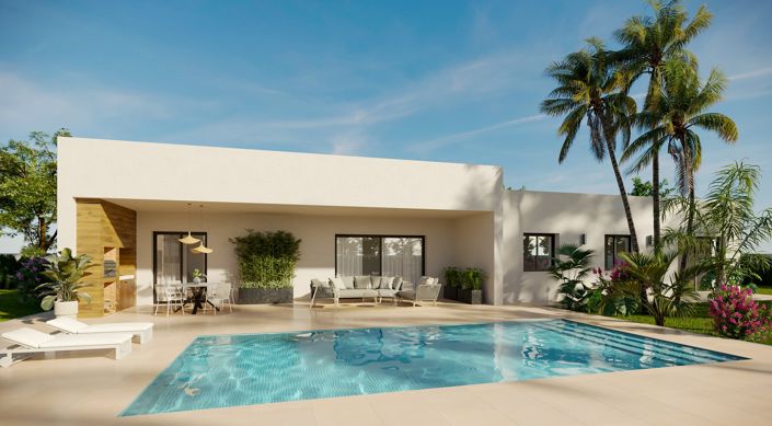 Image No.1-Villa / Détaché de 3 chambres à vendre à Pinoso