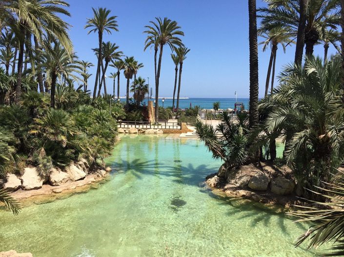 Image No.7-Penthouse de 3 chambres à vendre à Santa Pola