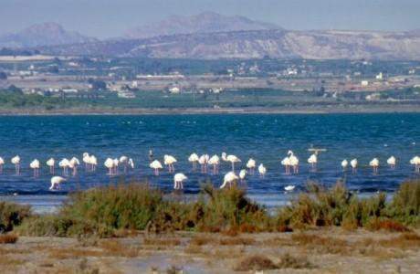 Image No.28-Villa / Détaché de 3 chambres à vendre à Ciudad Quesada