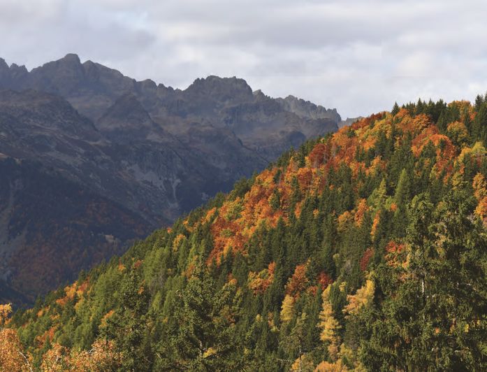 Image No.10-2 Bed Apartment for sale