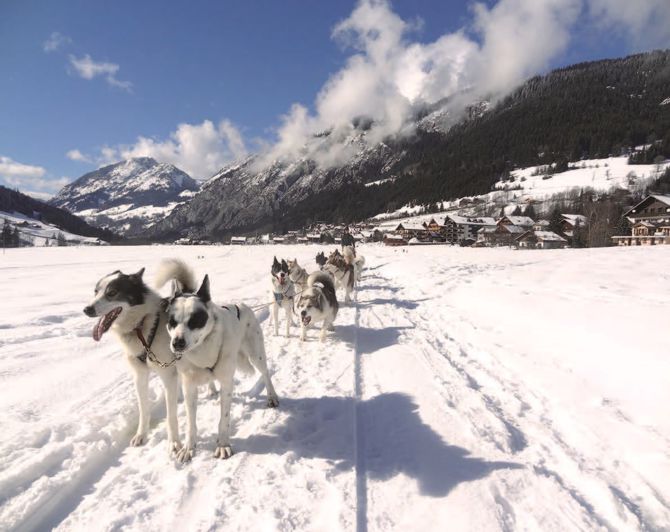 Image No.6-2 Bed Penthouse for sale