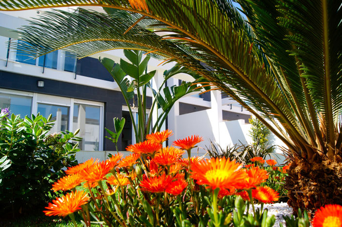 Image No.16-2 Bed Villa for sale