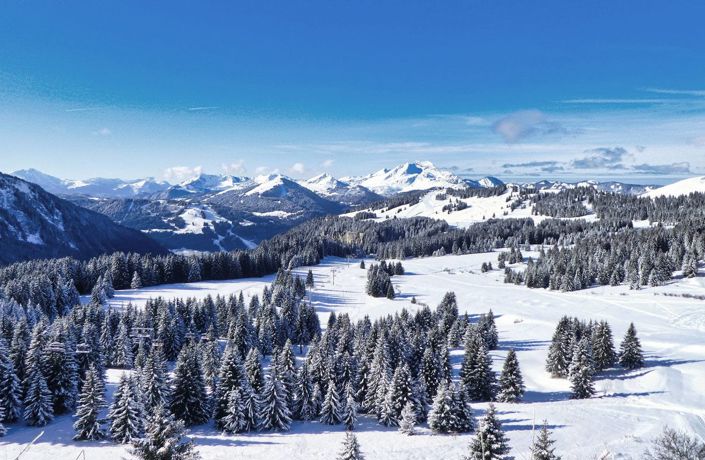 Image No.11-3 Bed Apartment for sale