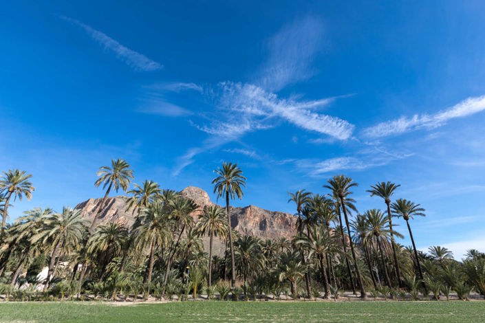 Image No.18-Villa de 3 chambres à vendre à Cox