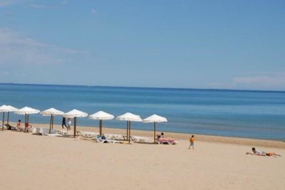 206339206339dl-363-ahimg420000-1