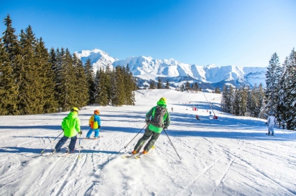 Image No.8-Appartement de 1 chambre à vendre à Combloux