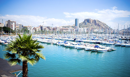 Image No.16-Villa / Détaché de 3 chambres à vendre à Alicante City