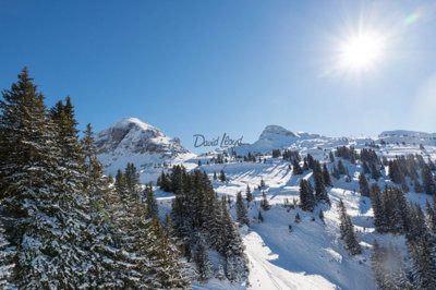 chatel-ski-slope-2