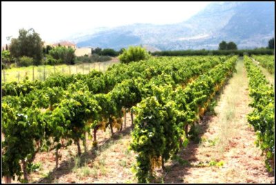 ebcf047ed0ca7d3325e0b3b7a6bcf73d