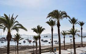 Image No.11-3 Bed Penthouse for sale