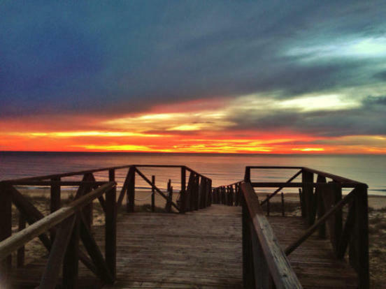 Image No.13-3 Bed Penthouse for sale