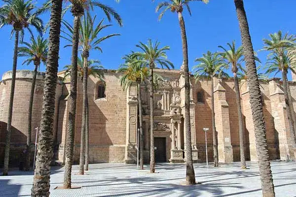 Image No.8-Villa / Détaché de 4 chambres à vendre à Elche