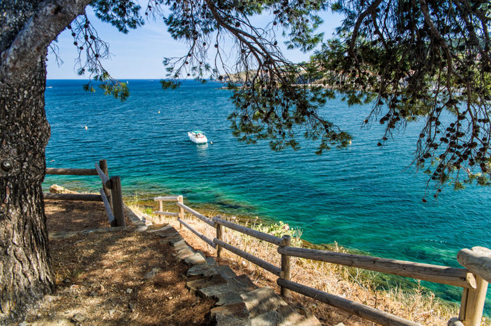 Image No.4-Villa de 3 chambres à vendre à Banyuls-sur-Mer
