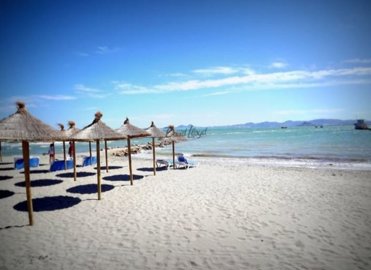 thumbnailimg-20240216-wa0004-copy-2