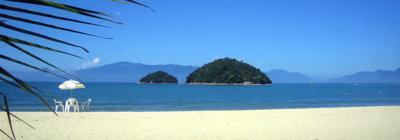 206339206339dl-337-rm1img190000