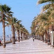 Image No.15-3 Bed Villa / Detached for sale