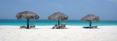 206339206339dl-337-rm1img170000