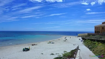 strand-playa-del-conde-pilar-de-la-horadada-3