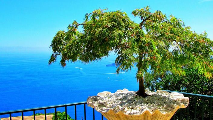 Image No.11-1 Bed Apartment for sale