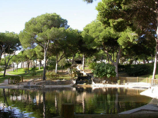 Image No.11-Penthouse de 3 chambres à vendre à Benijofar