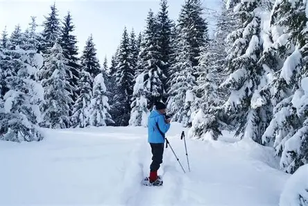 Image No.13-2 Bed Apartment for sale