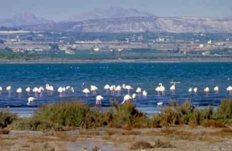 Image No.18-Villa / Détaché de 3 chambres à vendre à Ciudad Quesada