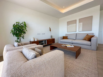 luxury-penthouse-apartment-on-las-colinas-for